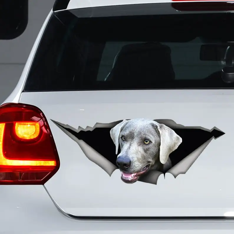 

Silver Labrador Decal, Labrador magnet, silver lab sticker, dog decal, Laptop Decal
