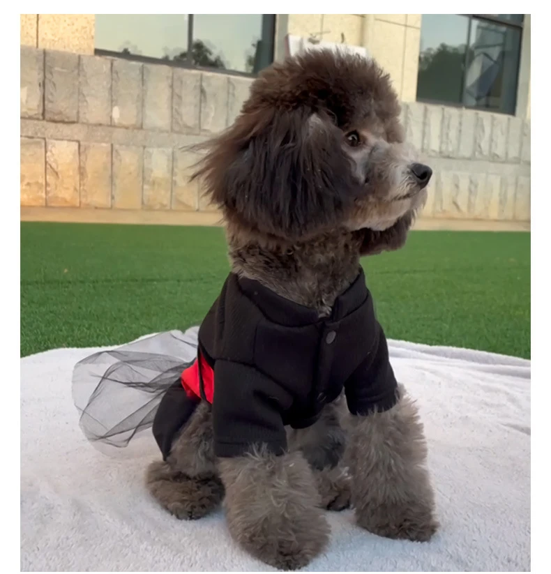 

Pet Clothes Autumn Winter Medium Small Dog Wedding Dress Fashion Bow Tie Handsome Shirt Kitten Puppy Princess Skirt Chihuahua