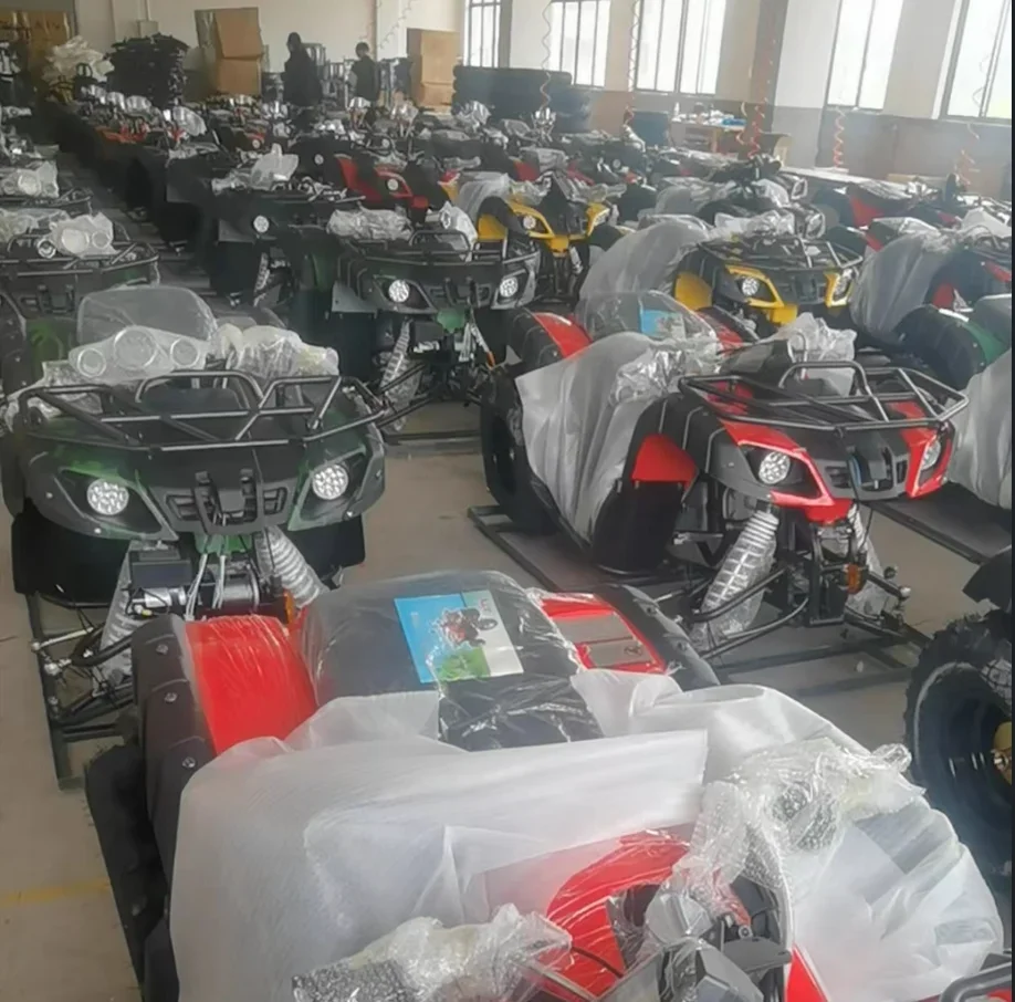 250cc Китай Снегоход с скоростью 80 км/ч Электрический запуск 10-дюймовая алюминиевая