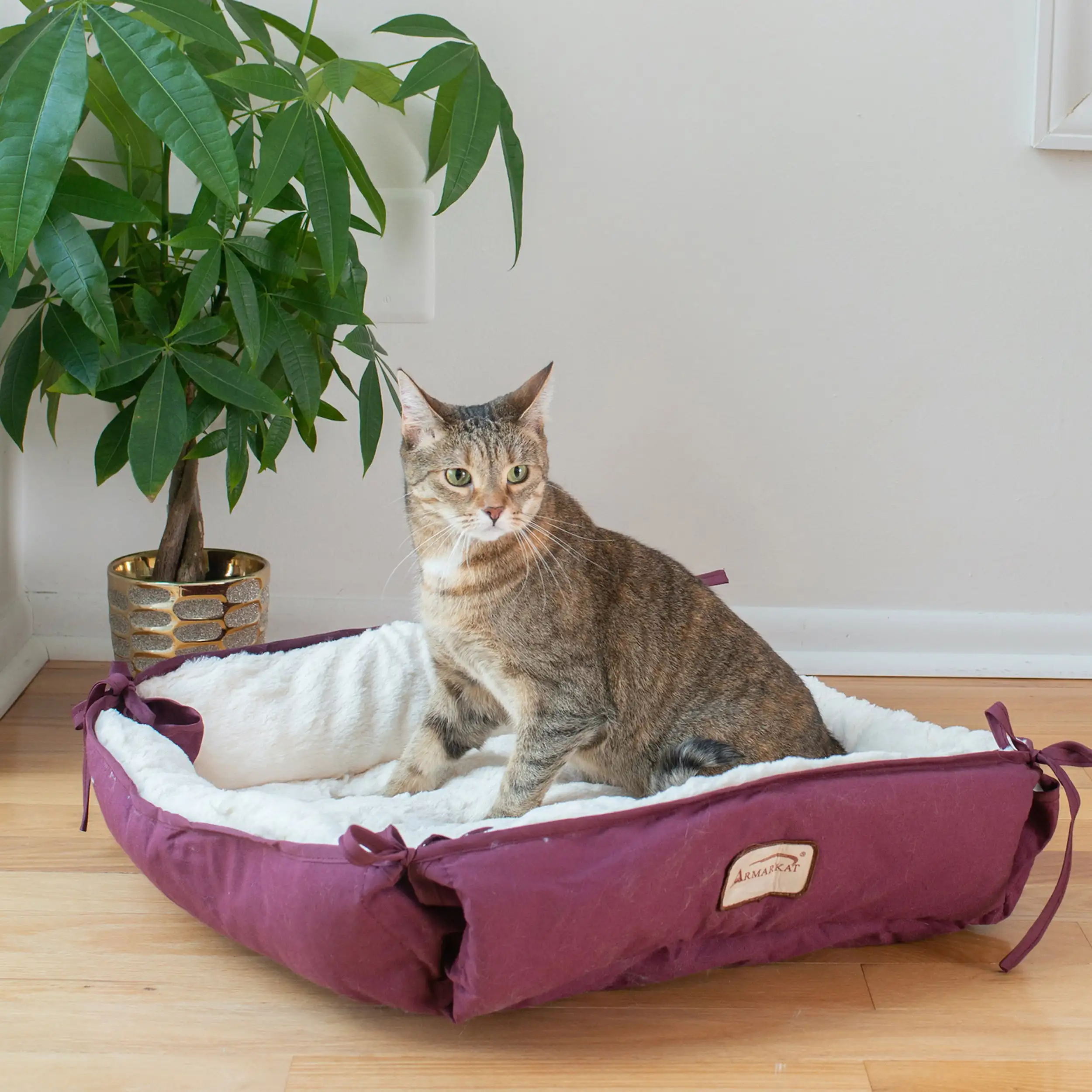 

Pet Bed, 16-Inch Square, Burgundy, C06HJH/MB