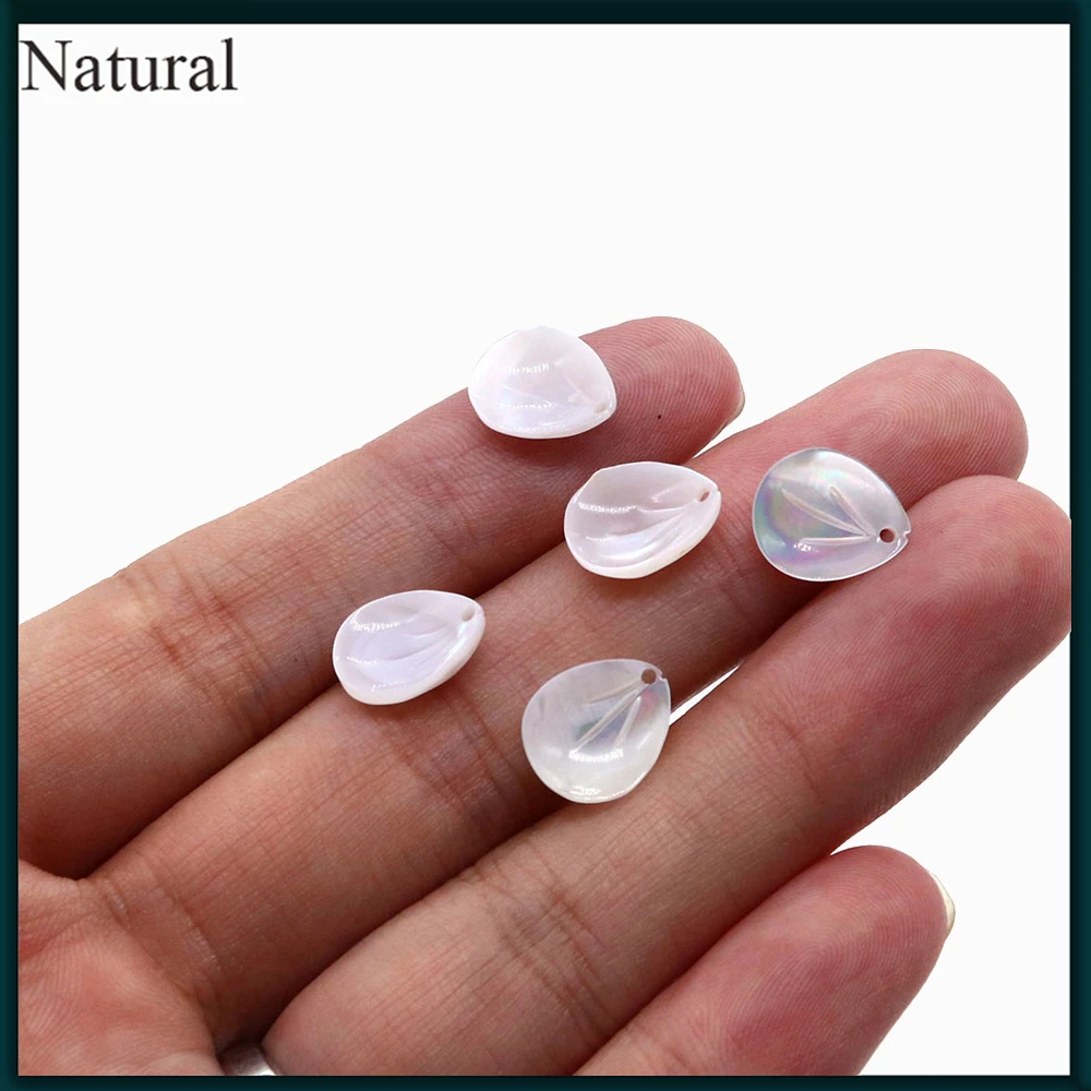 

2pcs Natural Seashells American Shellfish Leaf Shaped Jewelry DIY Creative Necklace Earrings Bracelet Jewelry Lover Gift 10x12mm