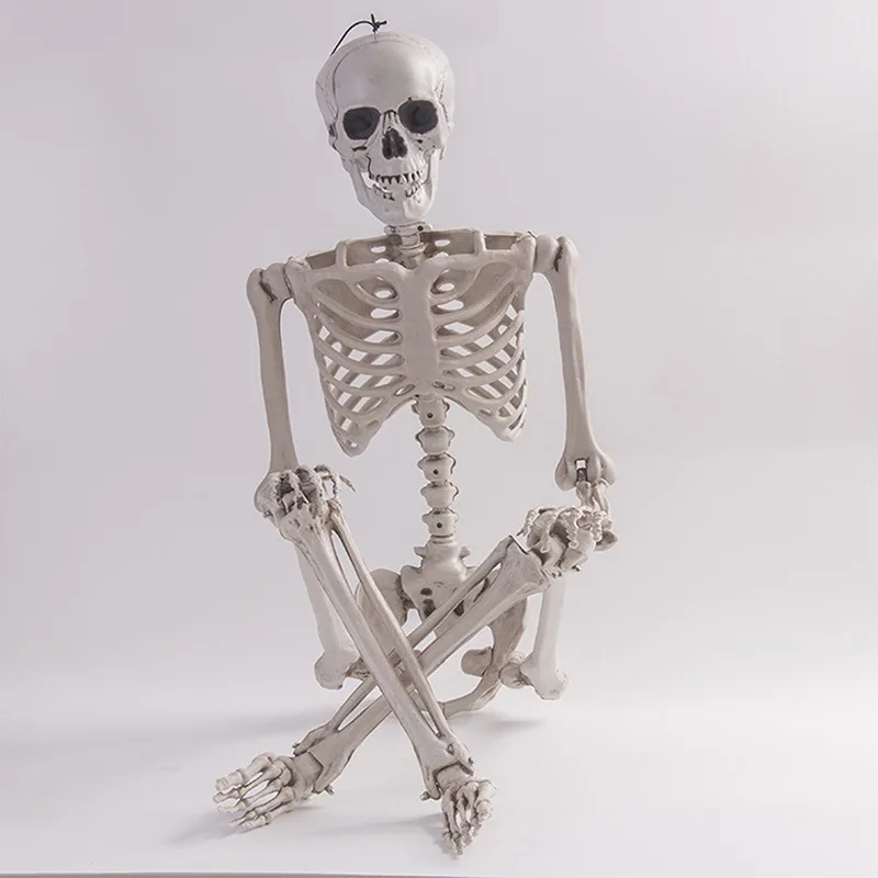 Подвижный скелет для Хэллоуина 90 см поддельные человеческие кости черепа