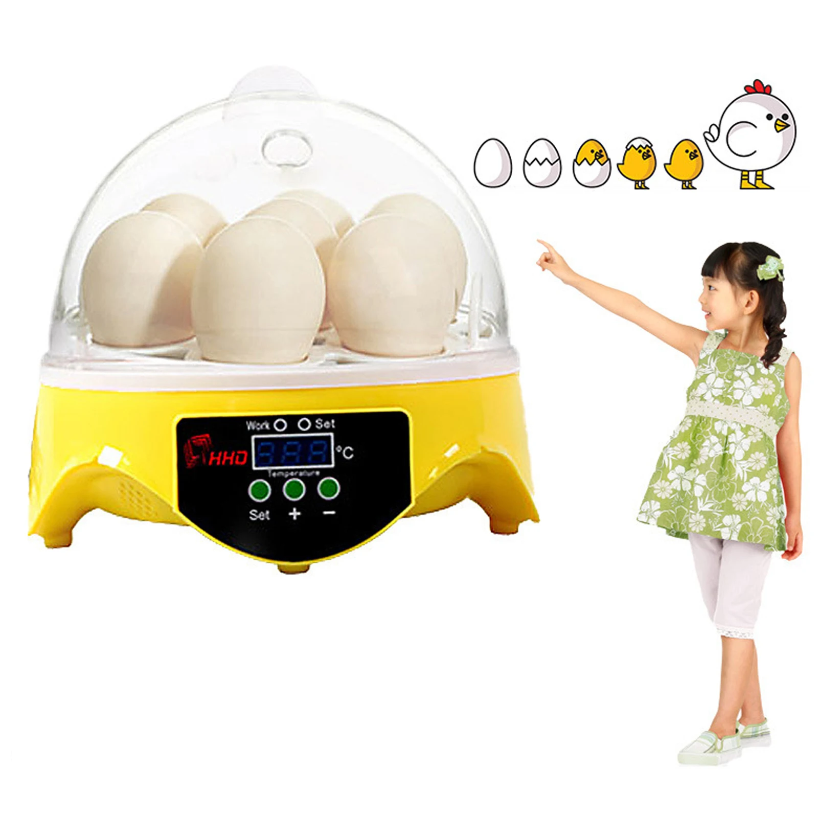 

Egg Incubator for Hatching 7 Eggs Temperature Control Digital Incubator for Chicken Duck Goose Eggs egg egg