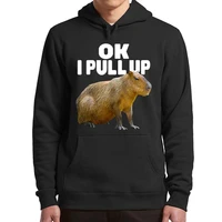 ok i pull up capybara hoodies funny capybara lovers memes vintage men women clothing casual soft pullovers sweatshirts