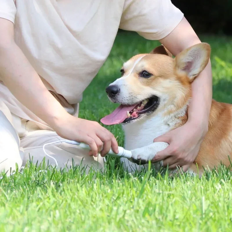 Электрическая точилка для ногтей Pawbby портативная машина полировки домашних