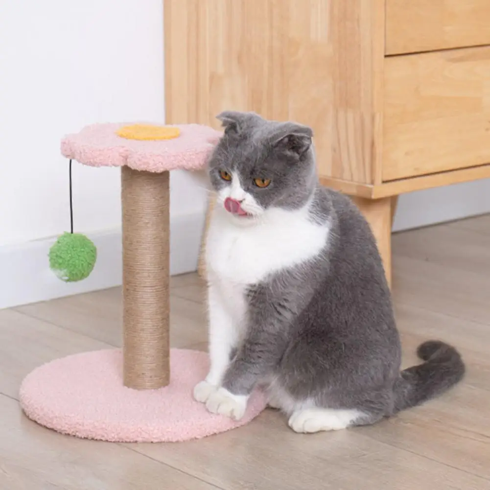 

Practical Non-pilling Kitten Floral Scratching Post Bright Color Comfortable to Touch Cat Climbing Frame Cats Supplies