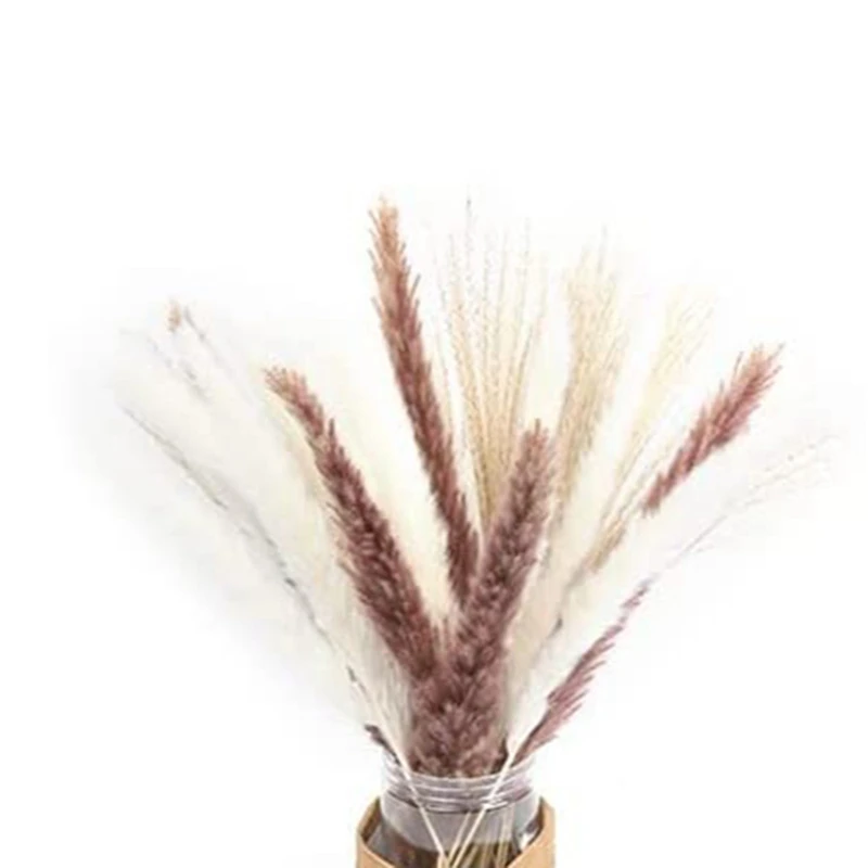 

65 Pcs Totally Natural Dried Plants Pampas Grass With 4 Kinds Of Color Fluffy DIY Boho Plant For Wedding