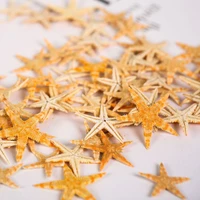 10pcs 100 natural dried starfish sea star beach craft wedding party home aquarium decoration desktop office decor beach