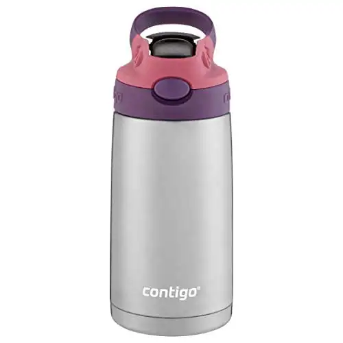 

Brilliantly Redesigned AUTOSPOUT Eggplant 13 fl oz Stainless Steel Water Bottle with Straw Lid - Leak Resistant & Durable.