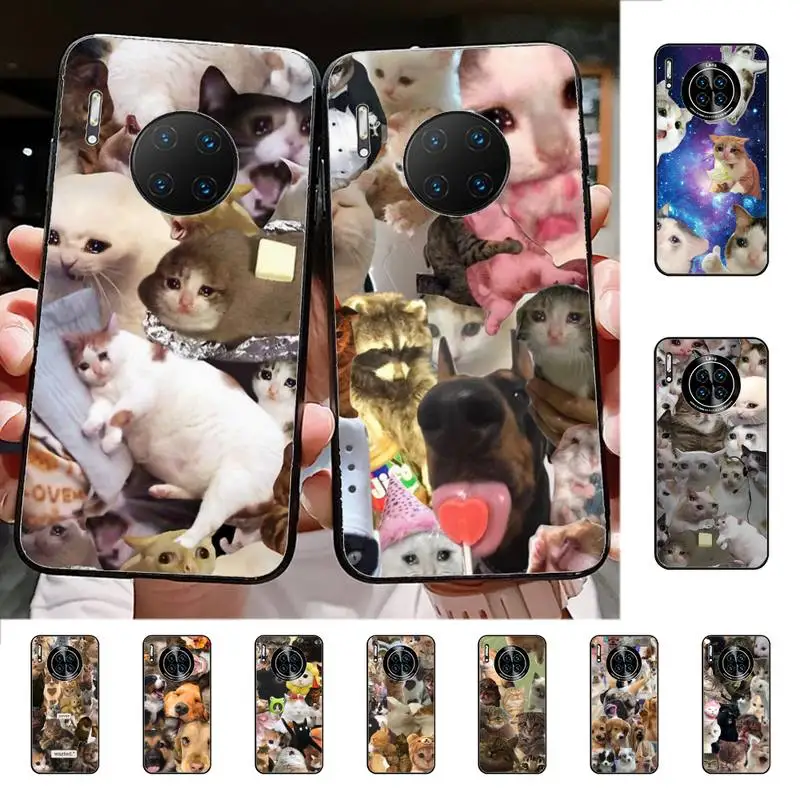 

Crying Cat Memes Phone Case for Huawei Mate 20 10 9 40 30 lite pro X Nova 2 3i 7se