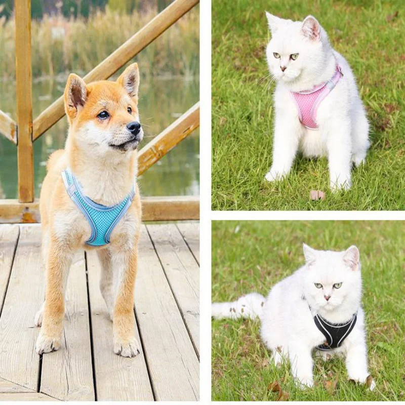 

Жилет для кошек, Тяговая веревка, товары для собак, цепочка для собак, специальный нагрудный ремень для домашних животных, набор веревок для ...