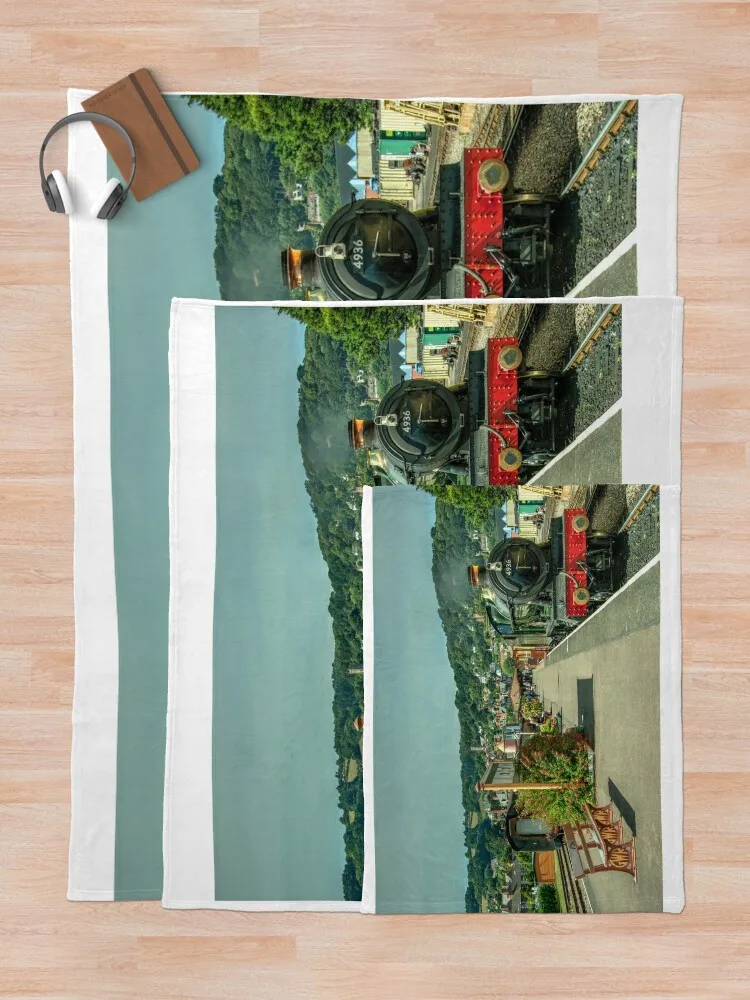 Одеяло Kinlet Hall at Minehead модное одеяло для диванов гигантские одеяла