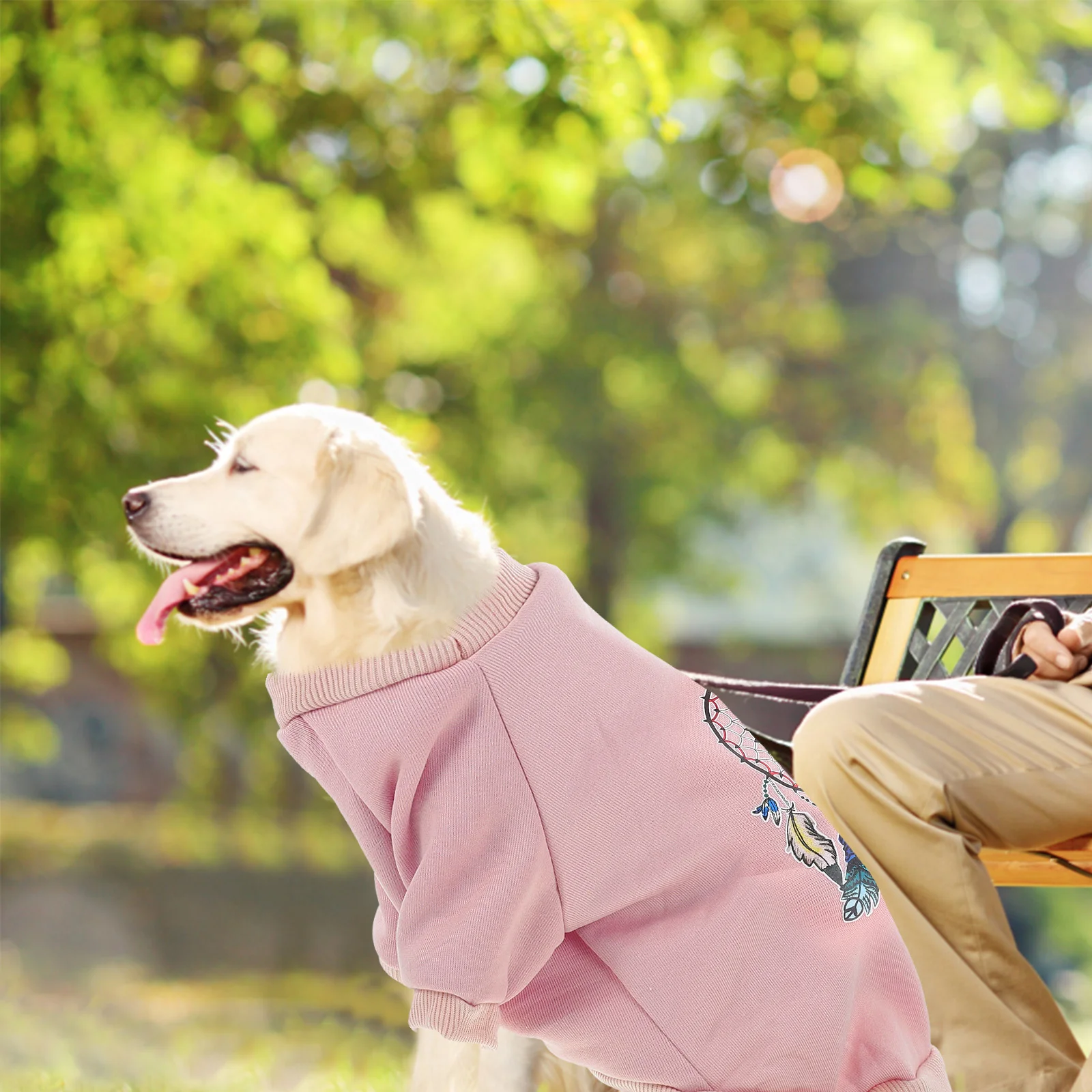 

Photo Pet Sweater Dresses Casual Cat Winter Jacket Cotton Comfortable Dog Clothes