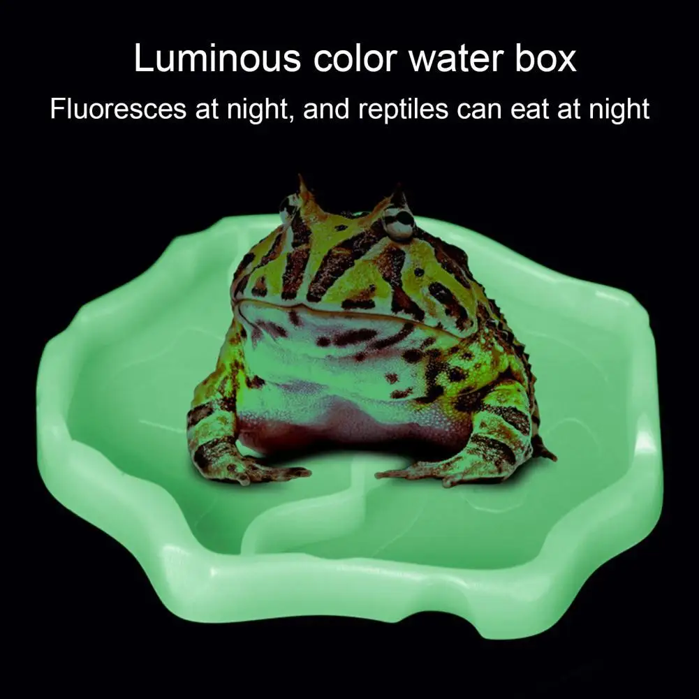 

Lizard Water Dispenser Feeding Dish Tortoise Feeder Plastic Splash Proof Safe Reptile Food Dispenser Feeding Bowl