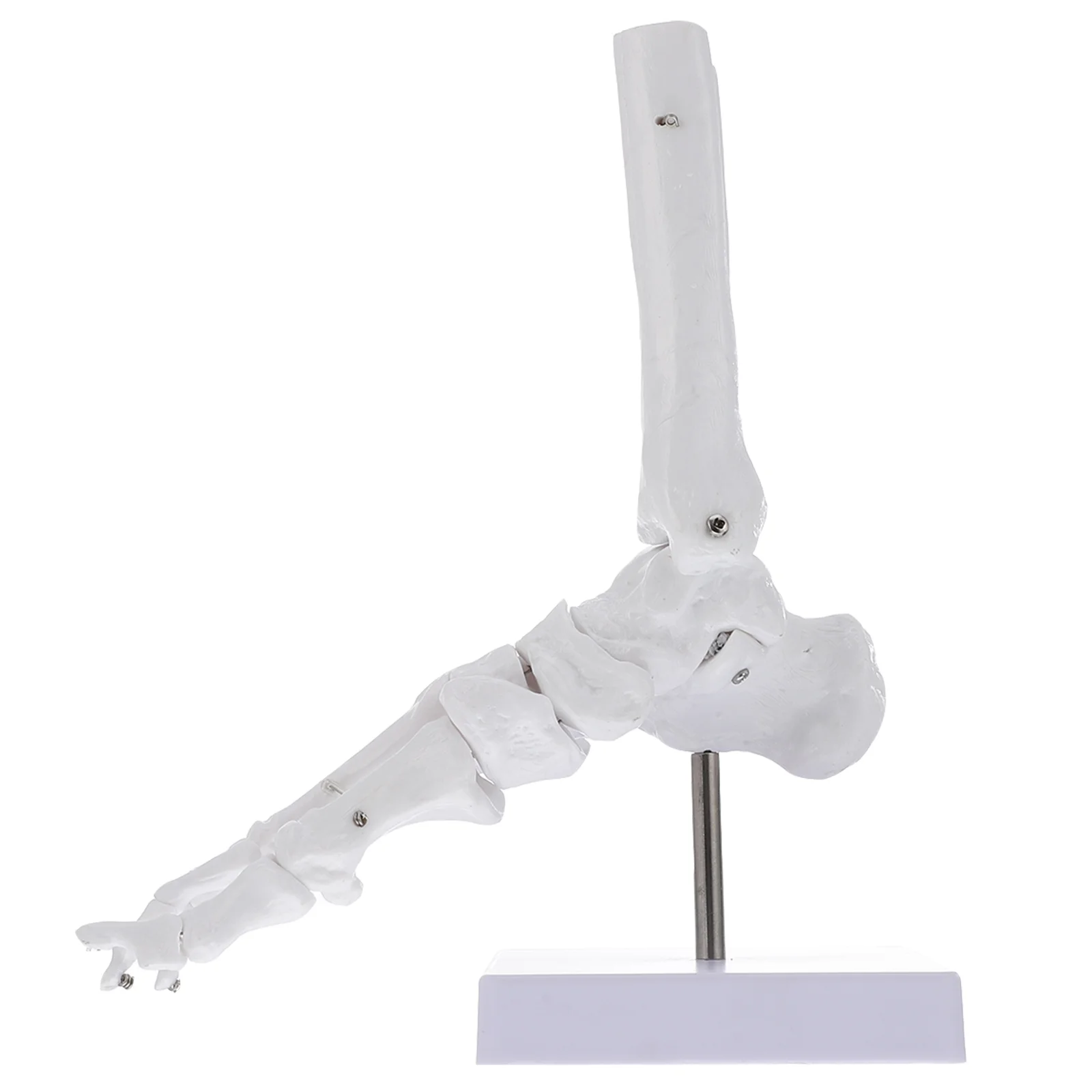 

1 шт., инструмент для школы 1:1