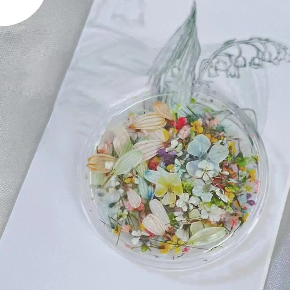 

1 коробка лепестков аксессуары для ногтей паста для легкого дизайна ногтей аксессуары прессованный цветок