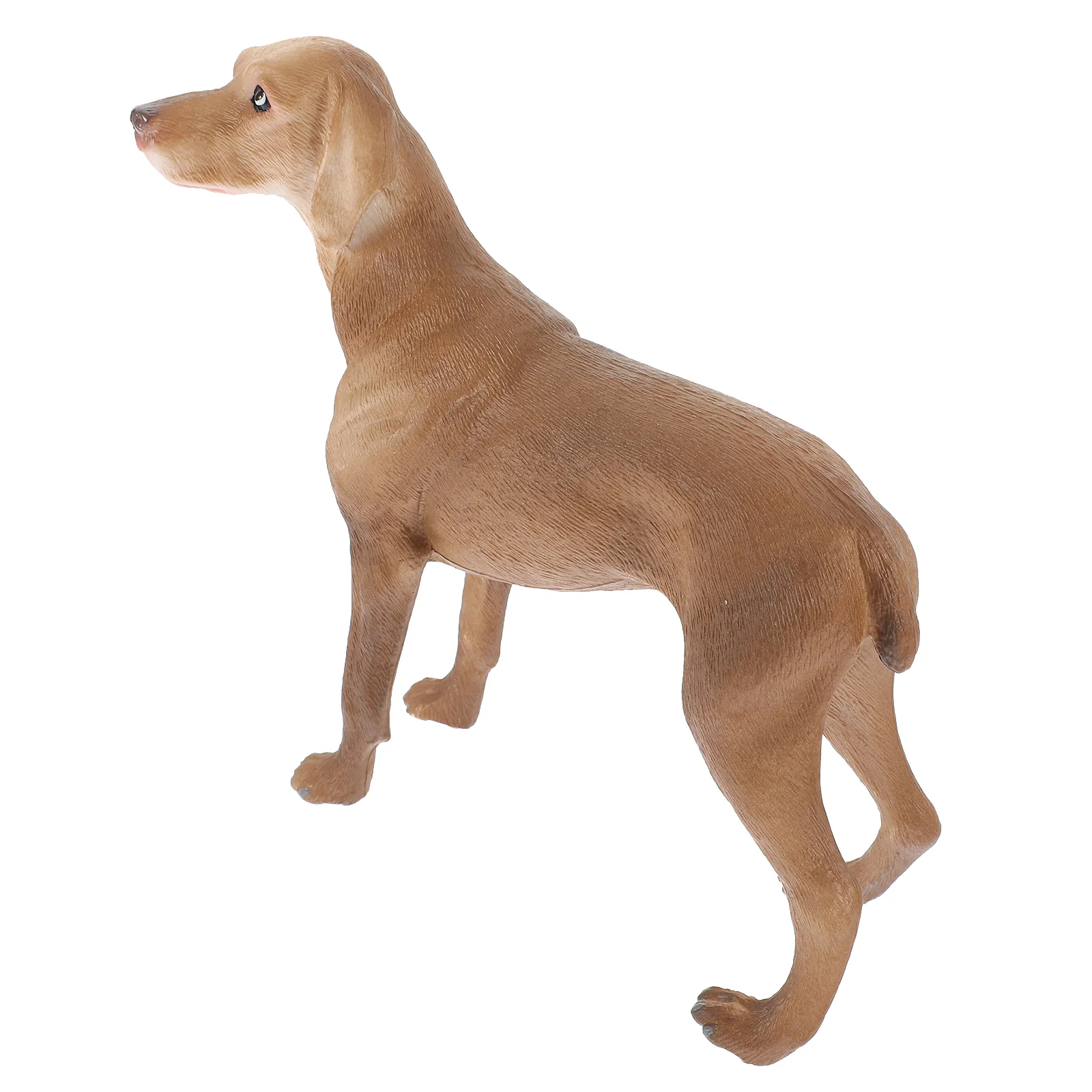 

Simulation Pet Dog Simulated Model Realistic Animal Toy Toys Statue Resin Models Decorative Child Bathroom Decorations