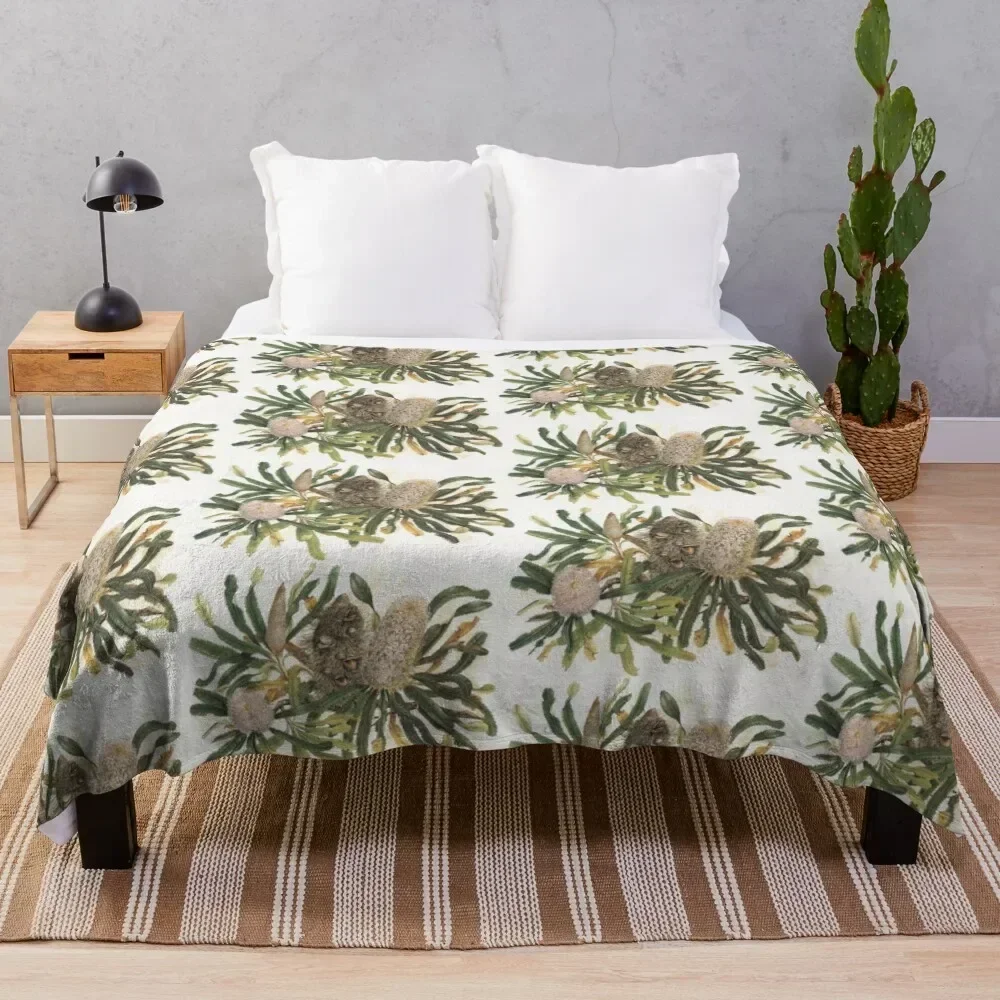 Banksia serrata Пледы и пледы Лохматое одеяло