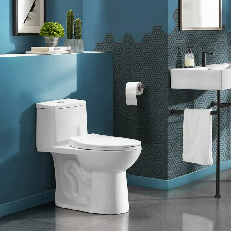 

One-Piece Elongated Ceramic Flush-Toilet 1.1/1.6 Gpf