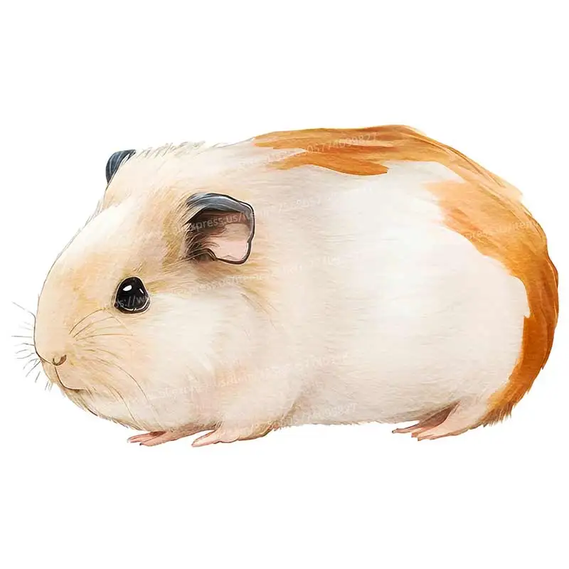 

Настенные наклейки с морской свинкой Cartoon S638