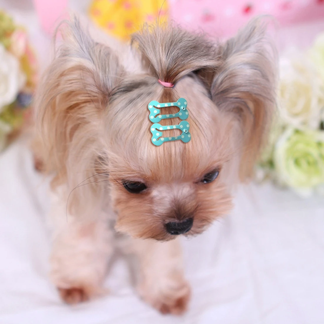 30pcs/Lot Bone Shaped Dog Hairpin Puppy Cat Hair Clips Pet Accessories Grooming Dogs Supplies for Small | Дом и сад