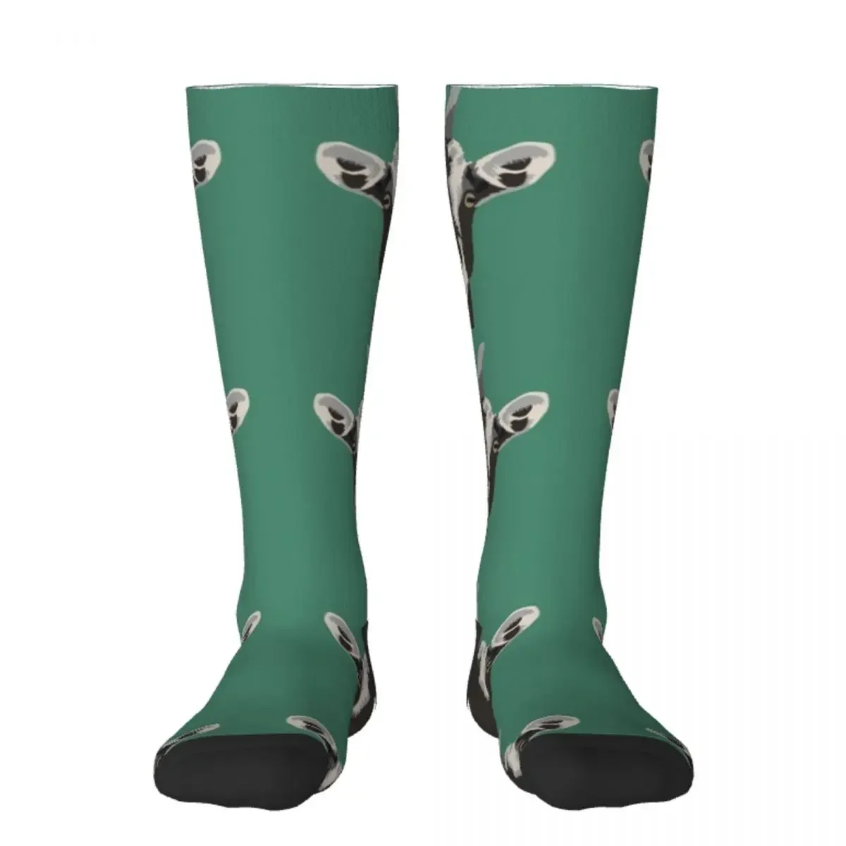 Носки Goaty McGoatface цветные Нескользящие велосипедные мужские носки роскошные