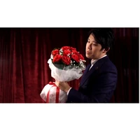 the bouquet red by bond lee ms magic 9 flowers magic tricks gimmicks close up magic for professional magicians