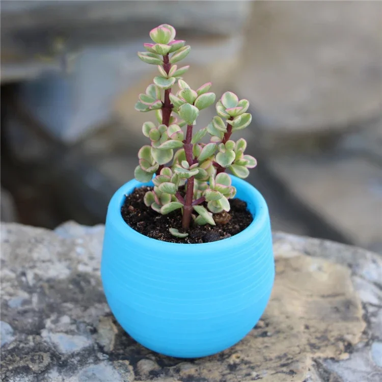 MOONBIFFY Полипропиленовый цветочный горшок