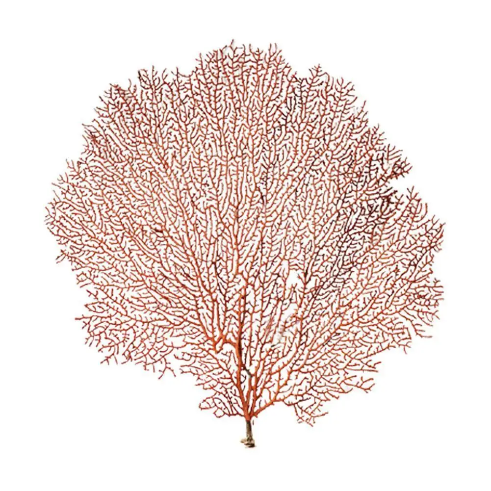 Натуральная подводная лодка Коралловое дерево рамка из материала Красной ивы