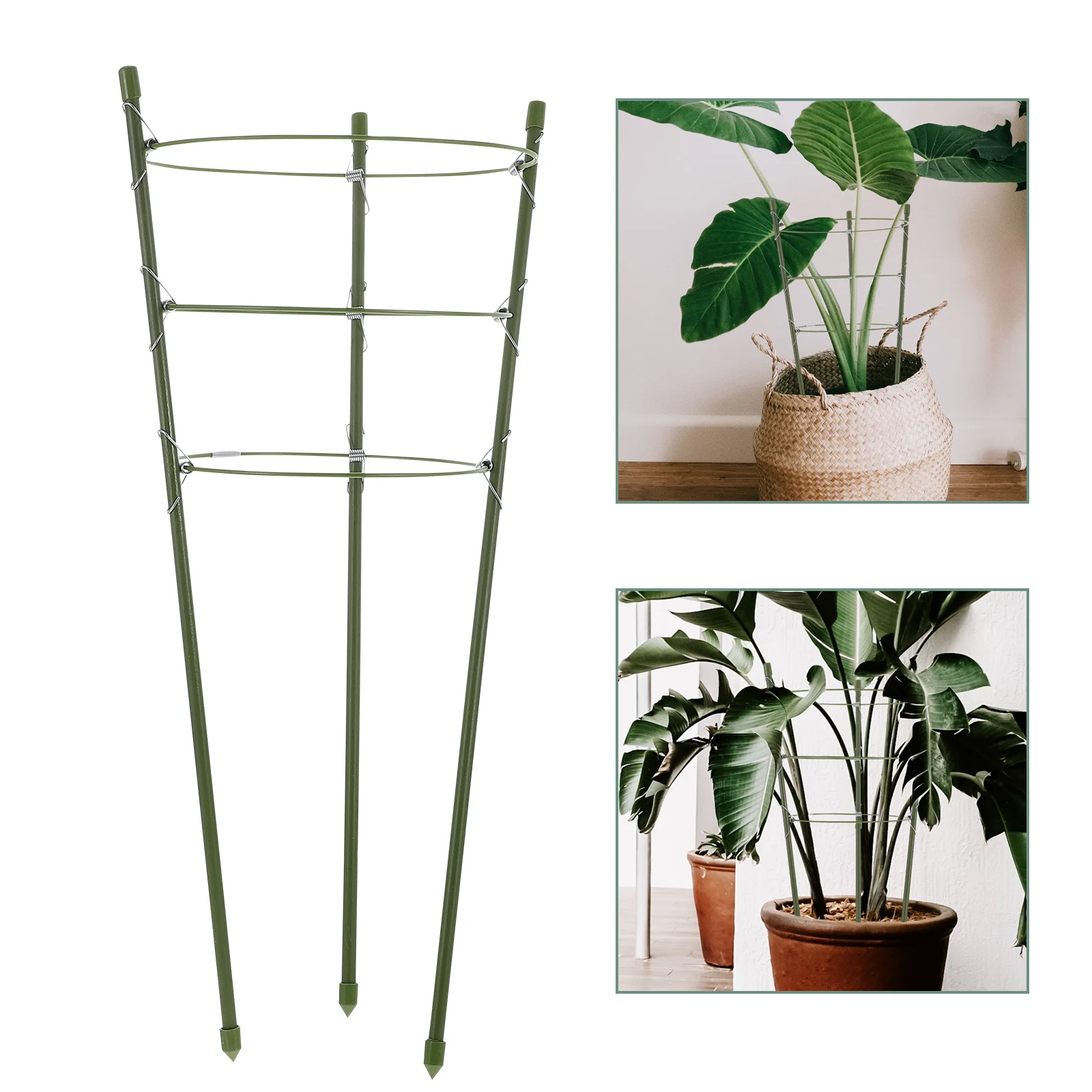 

3 Sets Climbing Trellis Vine Potted Plants Holder Gardening Tool Round Stand Tomatoes Support Rack Basin Frame