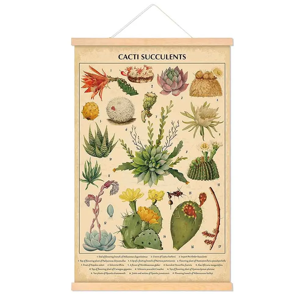 

Vintage Cacti Succulents Poster Cactus Wall Art Prints Hanging Wall Decor for Living Room Bedroom Decor 15.7 X 23.6 Inch