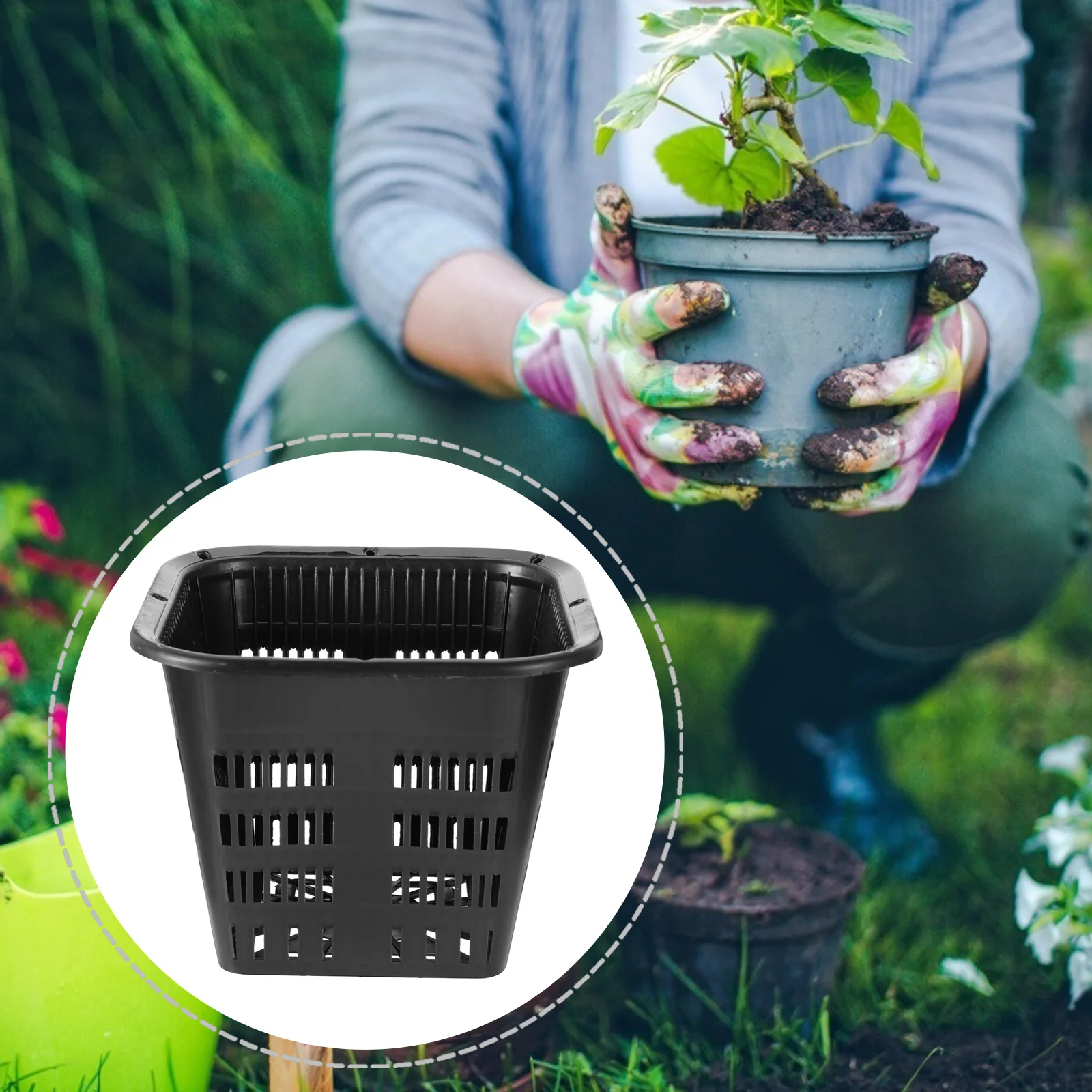 

12 Pcs Orchid Pots Holes Ornament Container Hydroponic Bucket Black Hamper Net Cup Growing Slotted Tree Rooting Box