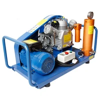 portable electric air pump high pressure breathing air diving compressor 300bar for sale