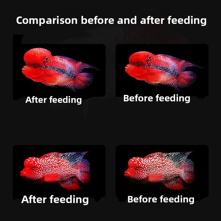 Фото AMUSI Flowerhorn Cichlid Формула роста пищевых горшков для Kamfa Gold Flowerhorn |   Плавающие гранулы, повышающие цвет, с астаксантином №5