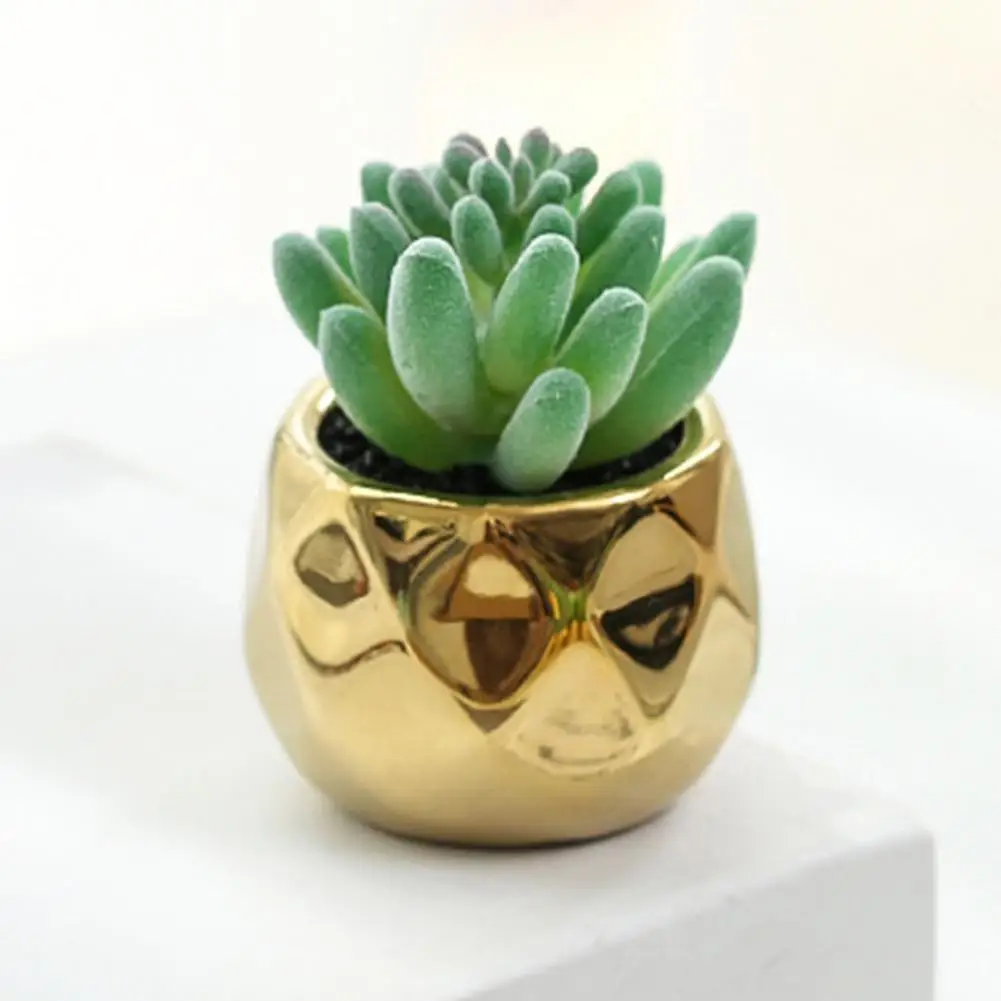 

Simulation Succulent Great PVC Faux Succulents Mini Potted Eco-friendly Lovely Artificial Potted