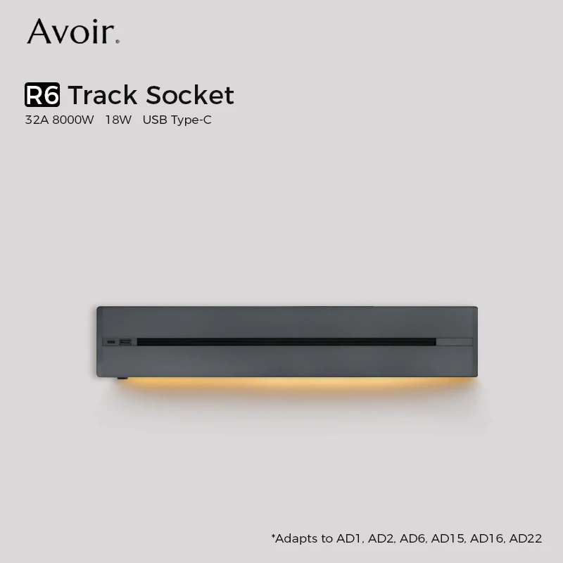 Настенная розетка Avoir с USB 220В