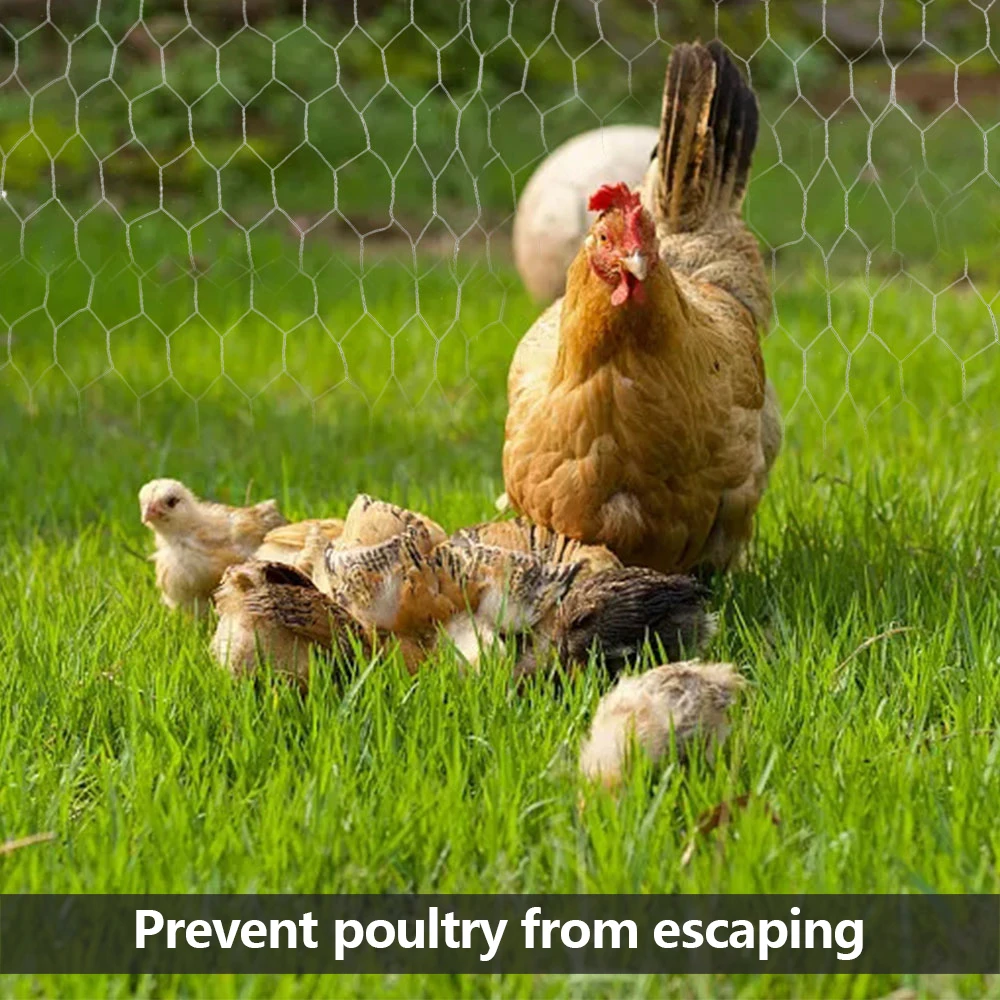 Металлическая Шестиугольная Оцинкованная Сетка Для Защиты Куриного Кролика И