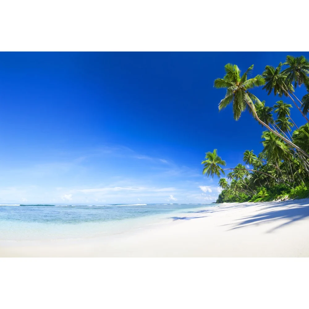 Фон для фотосъемки с изображением летних тропических островов моря пальм пляжа