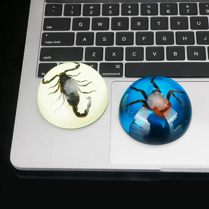 Желаю творческих настоящих образцов насекомых прозрачная смола полусферические