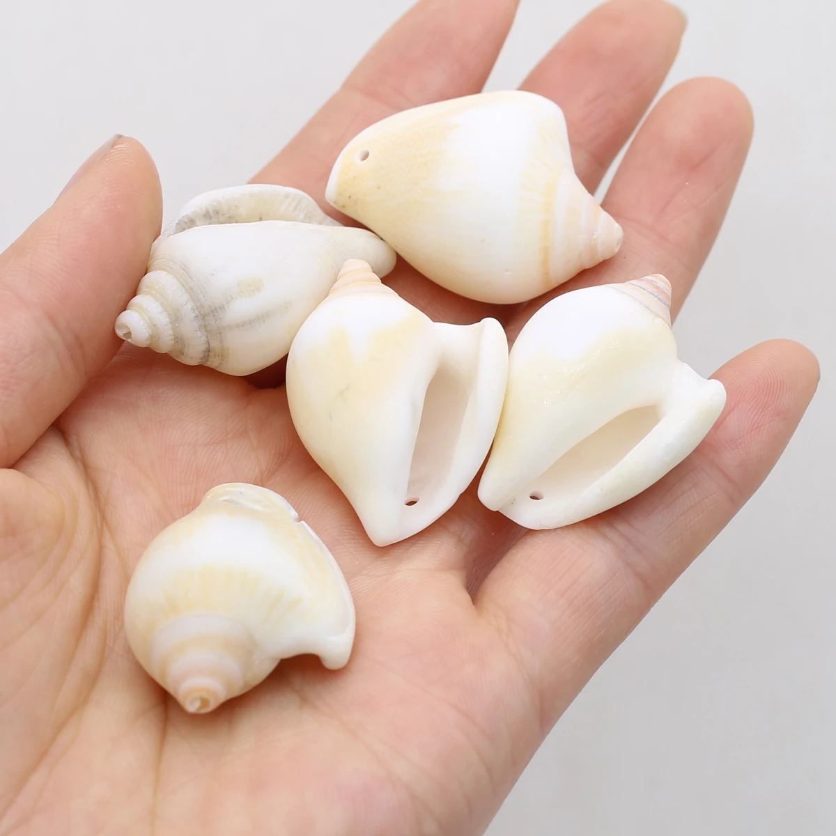 10 шт./лот бусины из натуральной ракушки раковины россыпью для изготовления