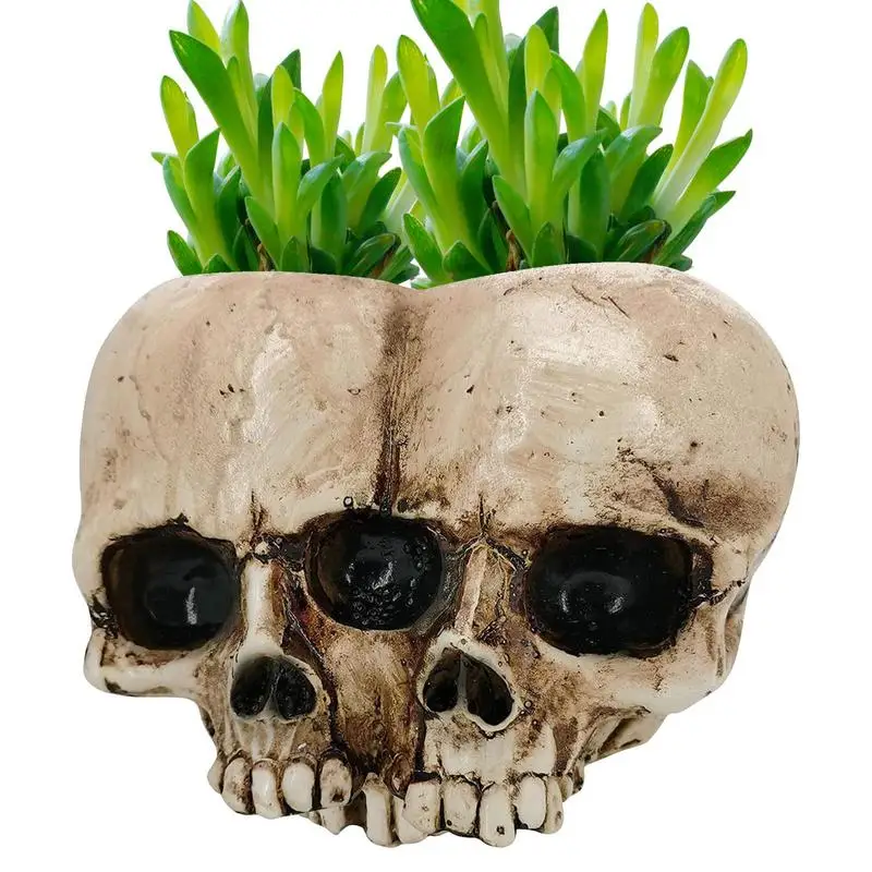 

Resin Crafts Human Tooth Skull Fossils Teaching Skeleton Model Halloween Home Office Flower Pot Planter Skull Pot Decoration