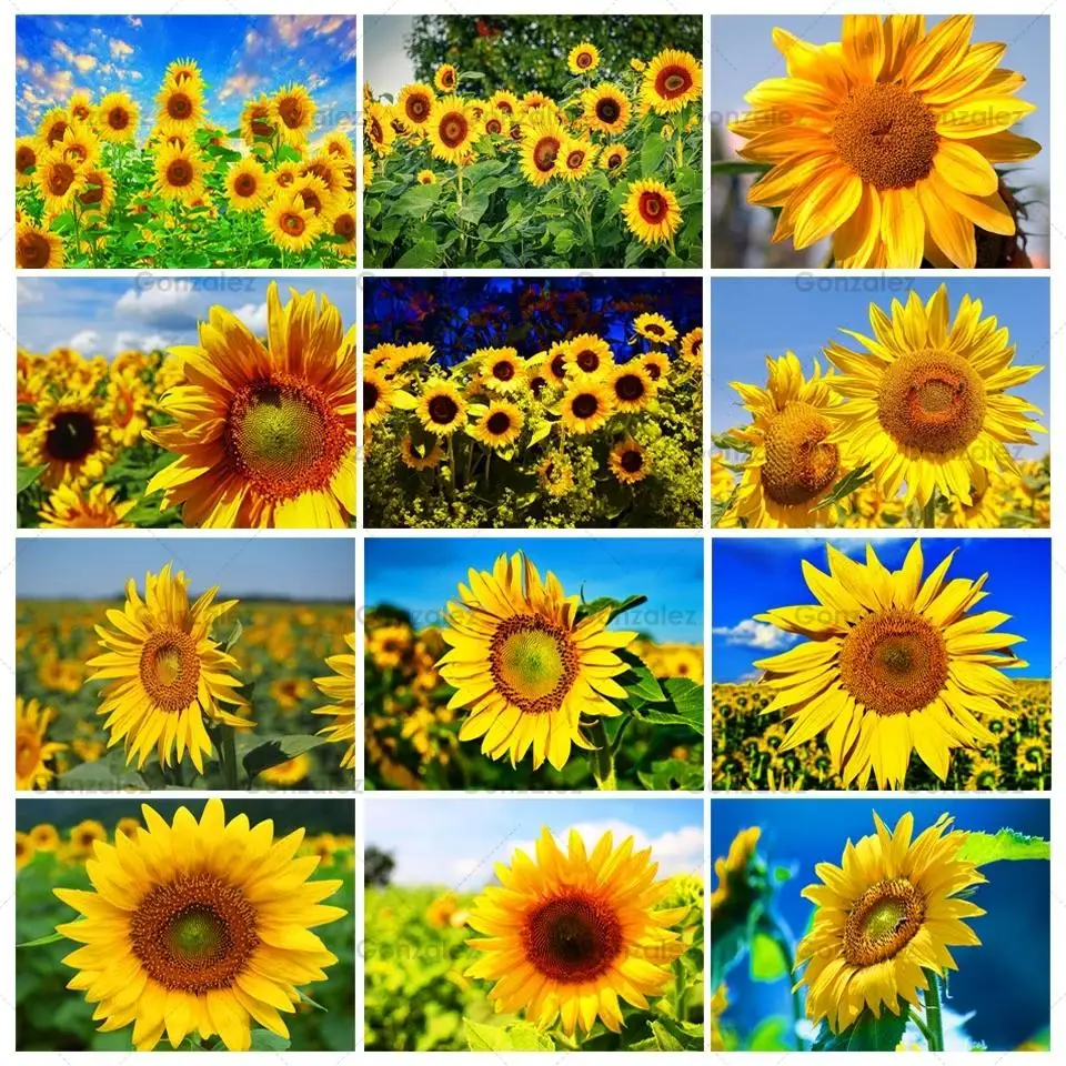 

Yellow Flower Picture Diamond Embroidery Art Sunflower Mosaic Cross Stitch Kits Diy Full Drill Handicrafts Gifts Home Decoration