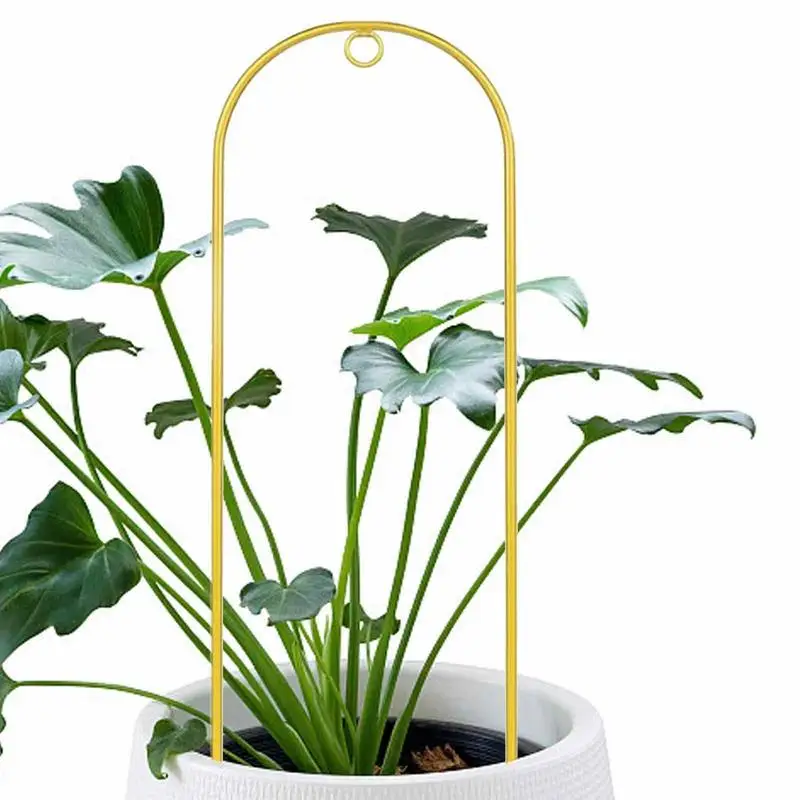 

Indoor Trellis Small Metal Trellis For Potted Plants Arched Shape Gold Plant Trellis Plant Support Stakes With Agate For Vine