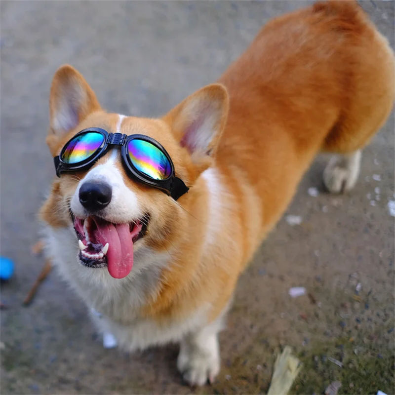

Очки для собак, солнцезащитные очки, регулируемые очки для питомцев, мягкие очки для собак, средние складные аксессуары для мотоциклов
