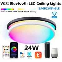 24w tuya wifi smart led ceiling light dimmable rgbcw app compatible with alexa google home bedroom ceiling lamp ambient light