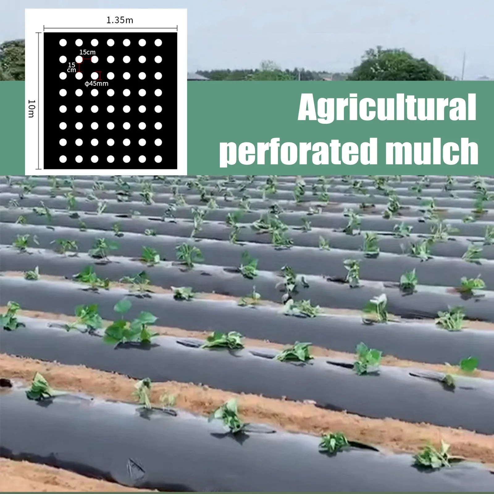 

Slipcovers for Sofa Plastic Insulation Mulch Agricultural Film Perforated Perforated PE Patio Lawn & Garden Easy Tunnel