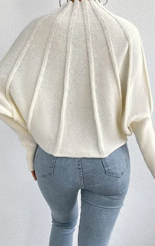 Осень/зима однотонный свитер с длинным рукавом и высоким воротником