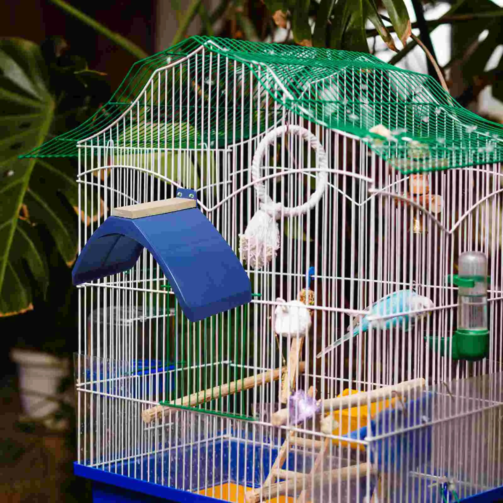 10 шт. аксессуар для клетки птиц клетка курица корни и окуня подставка голубя