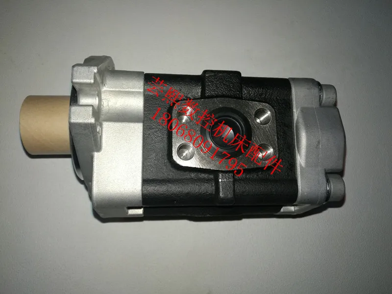 

Шестеренчатый насос DSG1A31R599 DSG1A32R398 (для литьевой машины)