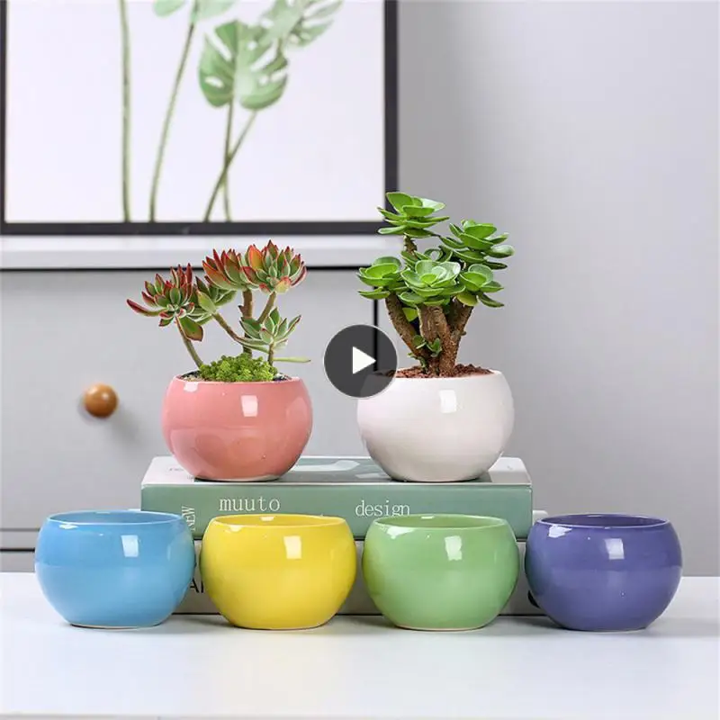 

Succulent Plant Plant Pot Creative Small Planter Indoor Garden With Breathable Hole Mini Potted Home Decor For Office Household